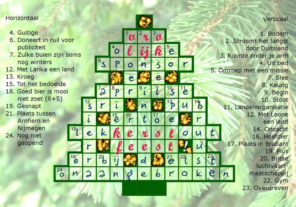 Kerstboom-Anne-Nederkoorn-oplossing